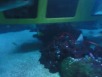DSC00098