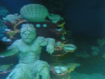 DSC00111