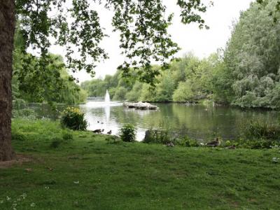 IMG_7203