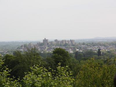 IMG_7229